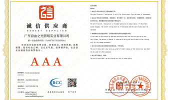 荣誉资质-洗墙灯_大功率洗墙灯_洗墙灯厂家-广东自由之光照明实业有限公司-诚信供应商