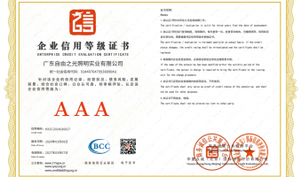 荣誉资质-洗墙灯_大功率洗墙灯_洗墙灯厂家-广东自由之光照明实业有限公司-企业信用等级证书